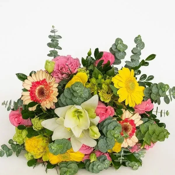 Aurora Floral