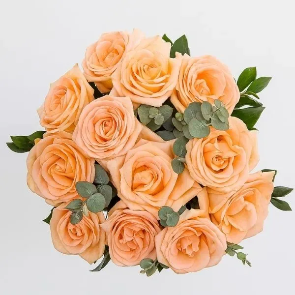 Buquê De 12 Rosas Champanhe